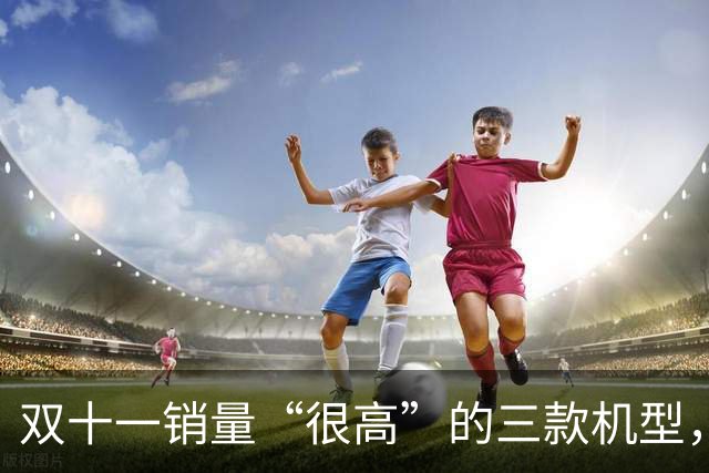 双十一销量“很高”的三款机型，能用到2031年，都是“良心手机”
