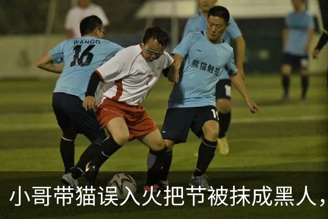 小哥带猫误入火把节被抹成黑人，为复仇连去2年，结果…咪一脸命苦：他们都拿我擦手