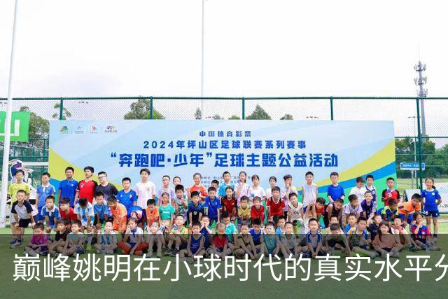 巅峰姚明在小球时代的真实水平分析