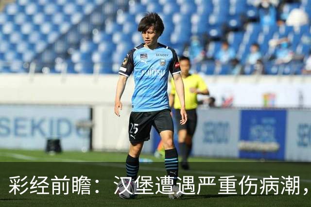 彩经前瞻：汉堡遭遇严重伤病潮，法兰克福客场有望晋级