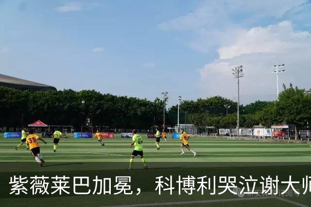 紫薇莱巴加冕，科博利哭泣谢大师惨遭爆冷，孙心然小身板引担忧