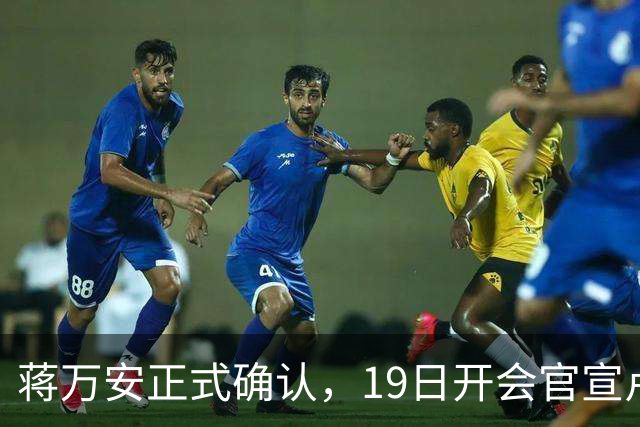 蒋万安正式确认，19日开会官宣卢秀燕出任竞总主委，系卢第三个主委！