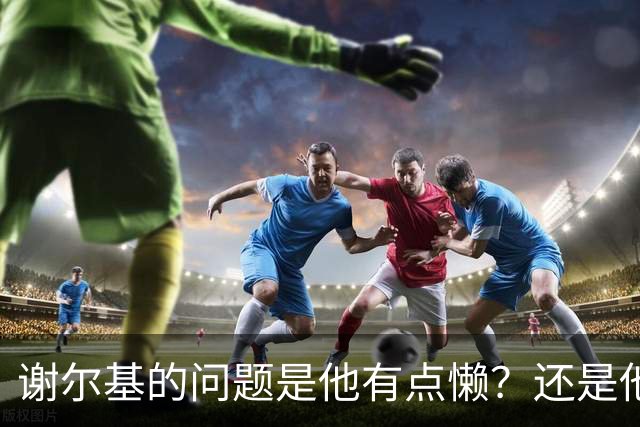 谢尔基的问题是他有点懒？还是他有点挑队友？