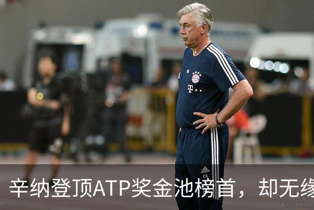 辛纳登顶ATP奖金池榜首，却无缘450万美元巨额奖励