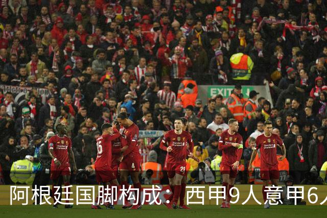 阿根廷国脚构成：西甲9人意甲6人 阿本土仅1人
