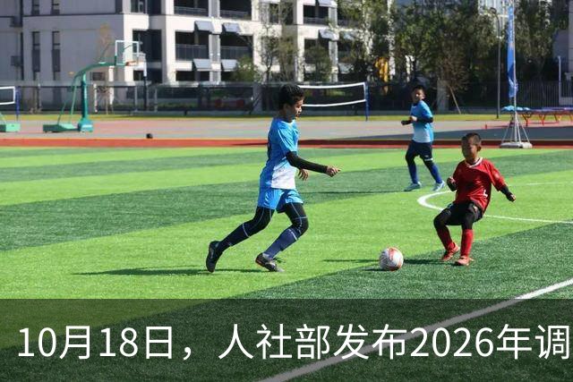 10月18日，人社部发布2026年调整退休人员养老金的通知文件了吗？